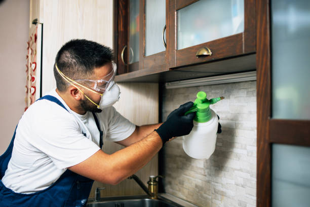 Best Residential Pest Control  in Crockett, TX