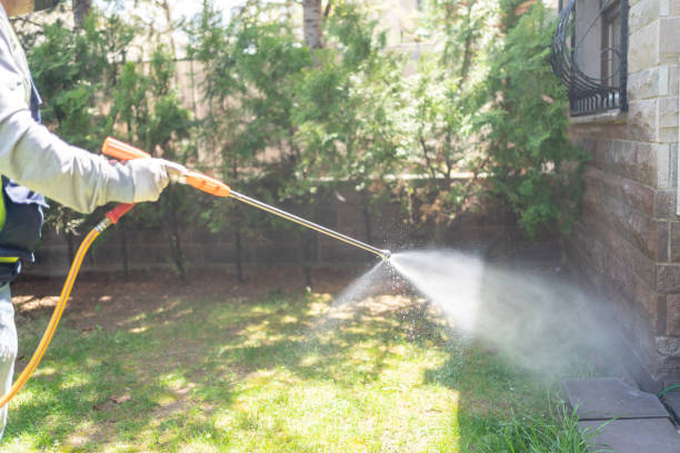 Best Rodent Control Near Me  in Crockett, TX