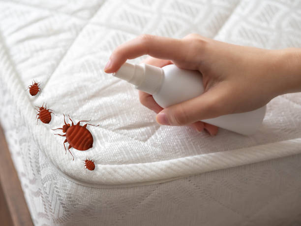 Best Wasp Removal Services  in Crockett, TX