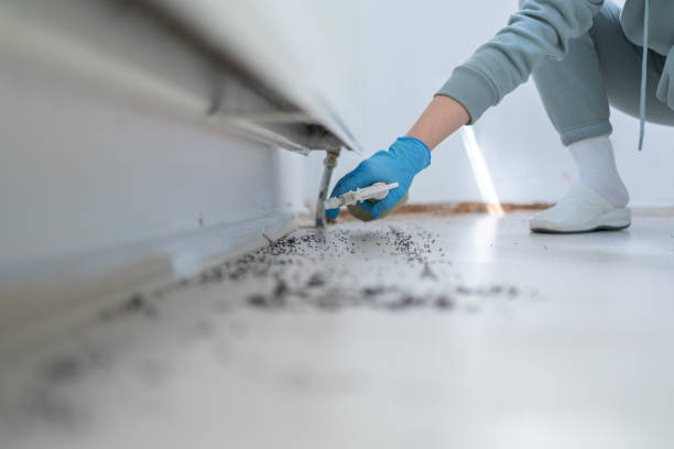 Best Pest Inspection Near Me  in Crockett, TX