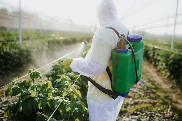 Best Insect Control  in Crockett, TX